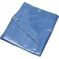 Prosource 6 ft x 8 ft Medium Duty Tarp, Blue T0608BB90